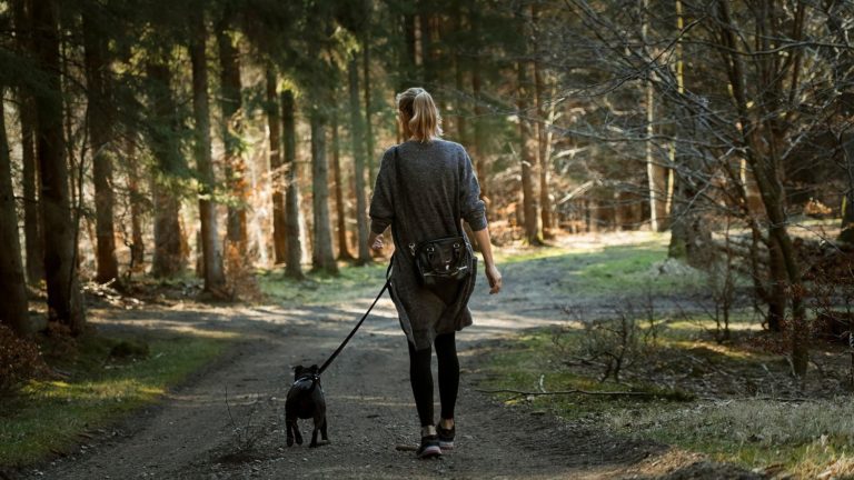 Woman in Los Angeles walking her dog. Woman is Walking home from Internal Family Systems Therapy in Los Angeles. Trees in background.