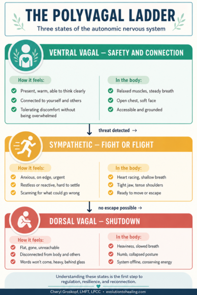 Polyvagal ladder diagram showing ventral vagal safety, sympathetic fight or flight, and dorsal vagal shutdown — somatic therapy Los Angeles